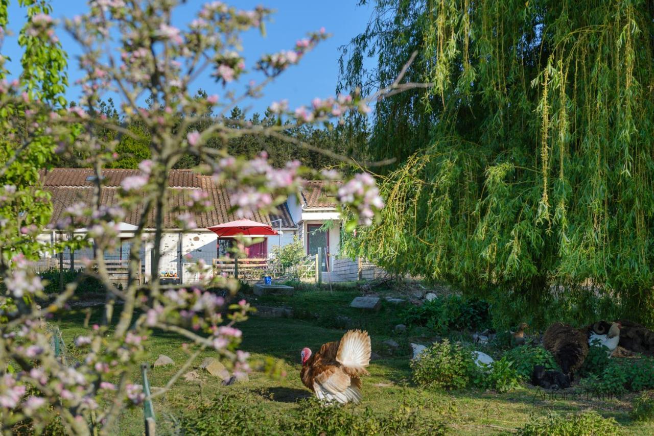 La Chevrerie Bed & Breakfast Vairé Exterior photo